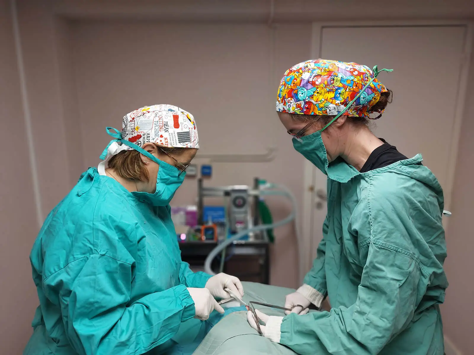 Tous les services proposés par la Clinique Vétérinaire des Halles de Saint-Nazaire