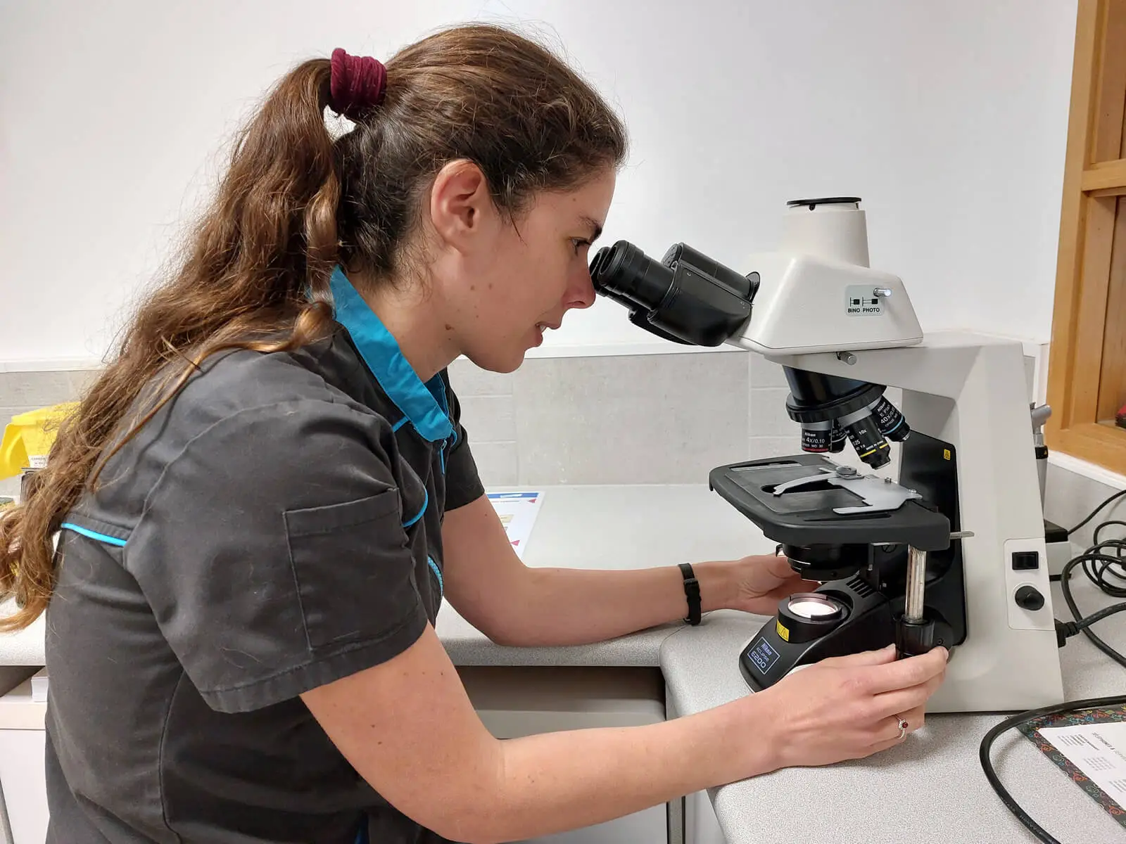 La qualité de soins et La veille médicale à la Clinique Vétérinaire des Halles de Saint-Nazaire