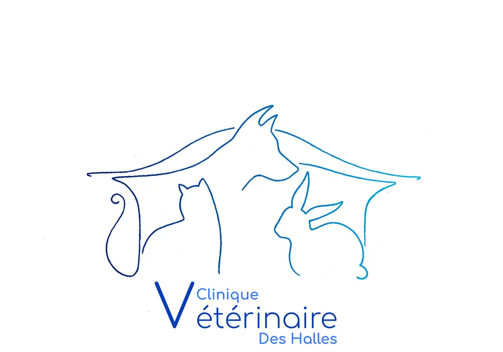 Clinique Vétérinaire des Halles de Saint-Nazaire