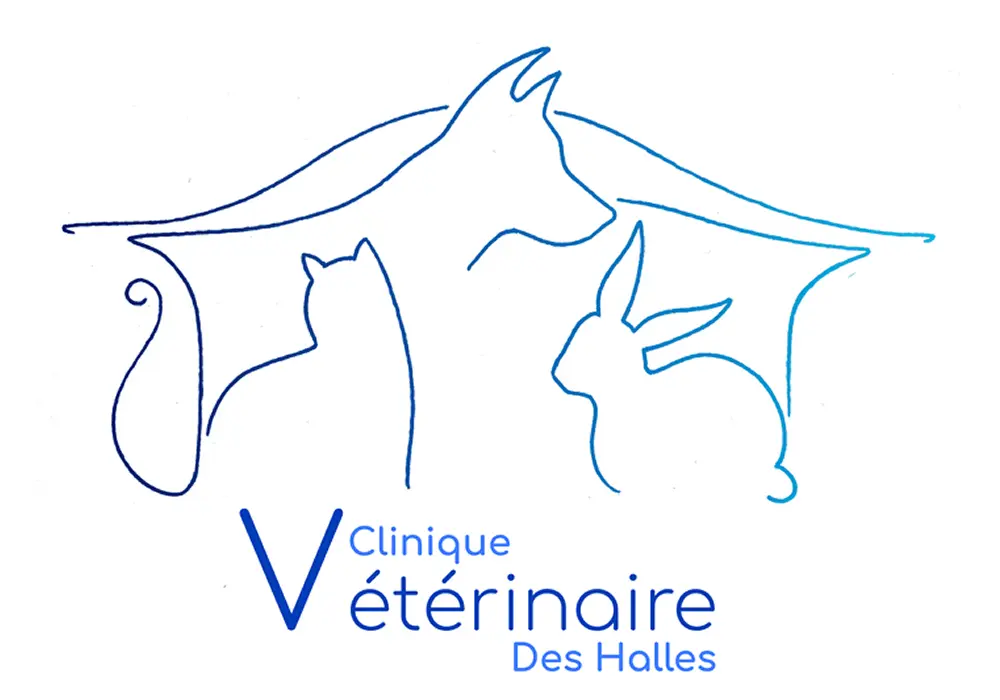 Logo de la Clinique Vétérinaire des Halles de Saint-Nazaire